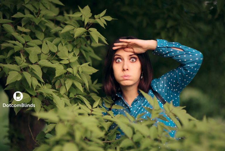 What Are The Best Blinds For Privacy?