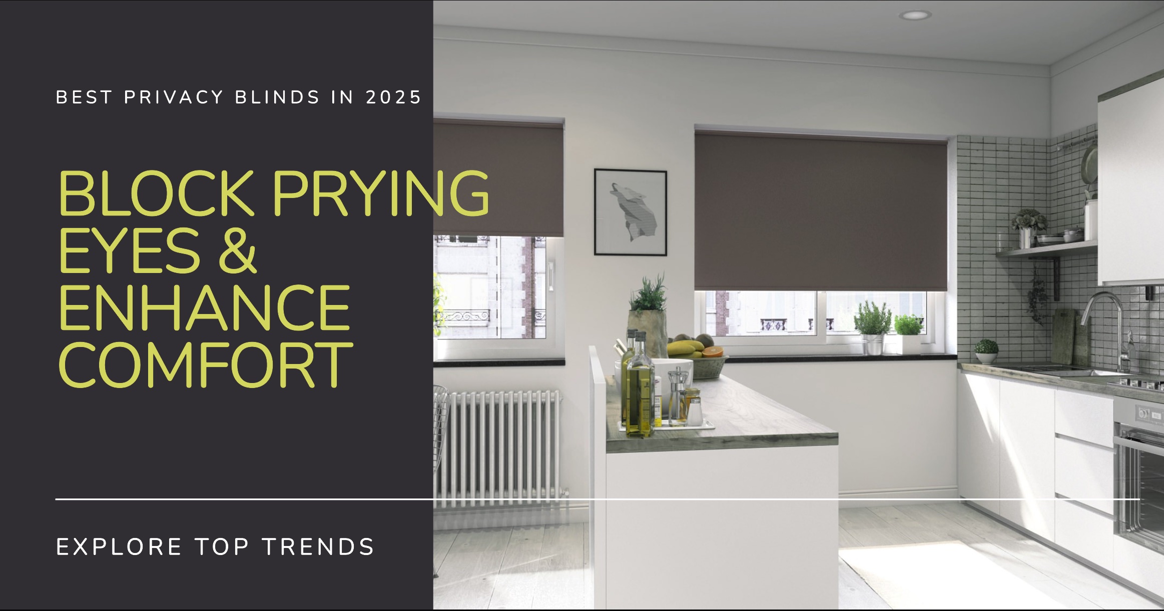 Best Privacy Blinds in 2025