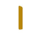 Vision Panel Flaps (VPF)