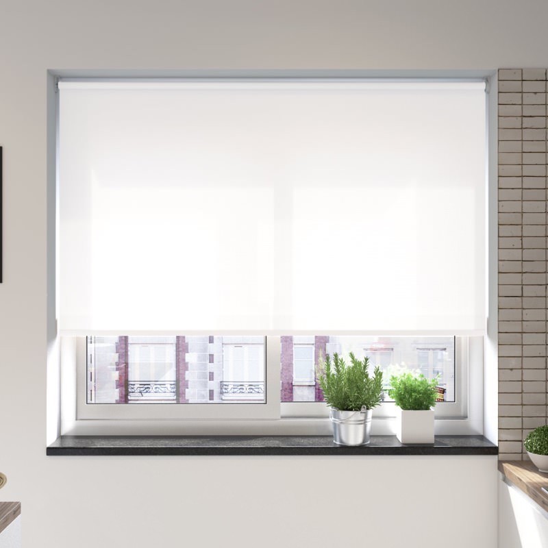 Catania Frost Premium XL Roller Blind