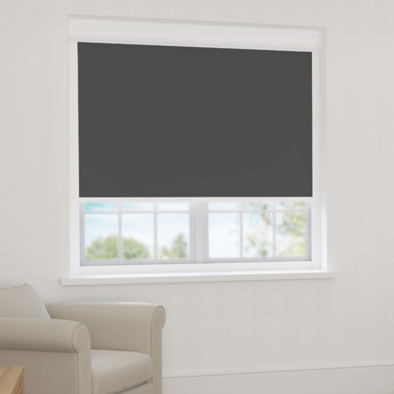 Bosa Graphite Blackout XL Cassette Blind