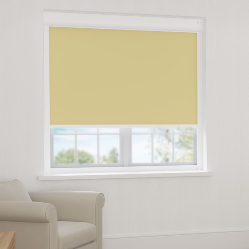 Bosa Primrose Blackout XL Cassette Blind