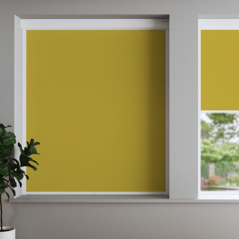 Bosa Sunshine Blackout Cassette Battery / Solar Blind