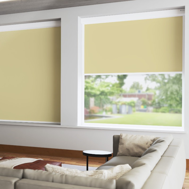 Bosa Primrose Blackout XL Cassette Mains Electric Blind