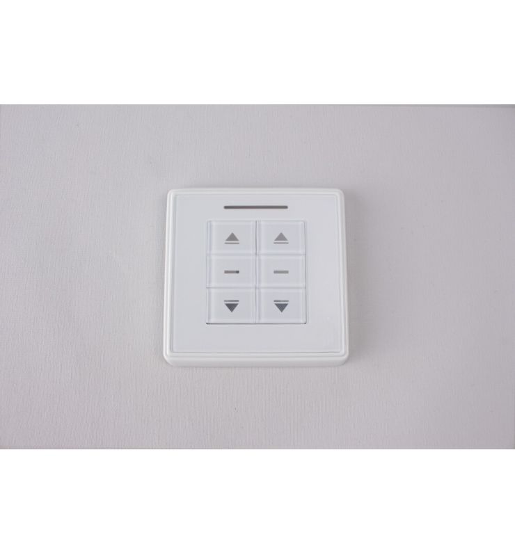 Dual Channel Wall Mounted Remote Control Switch