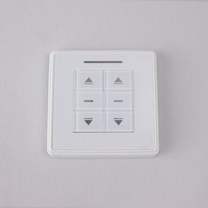 Dual Channel Wall Mounted Remote Control Switch