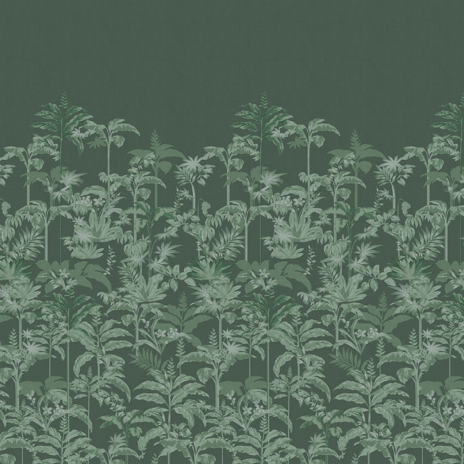 ted baker rhapsody green curtains