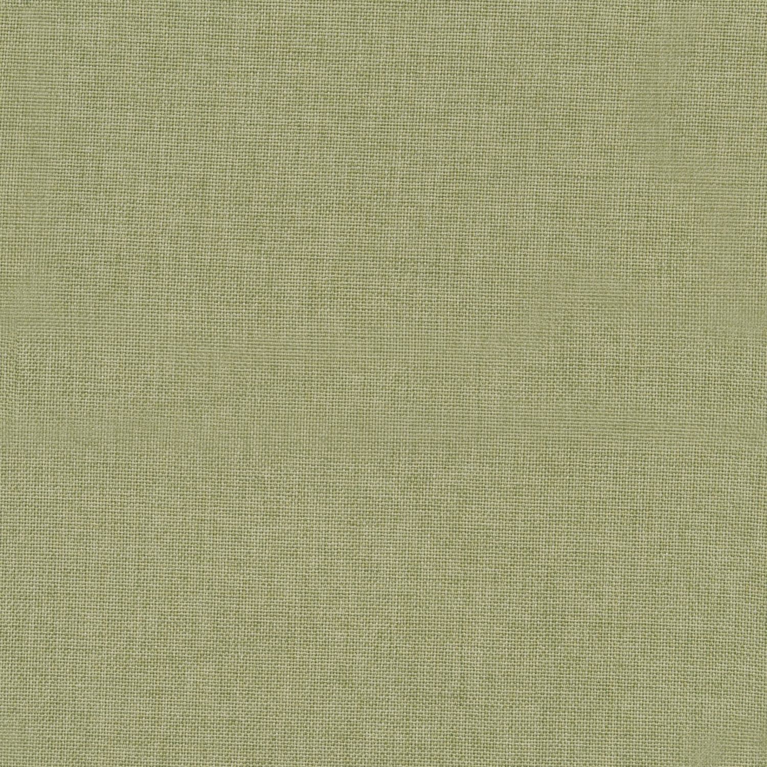 clara apple plain curtain