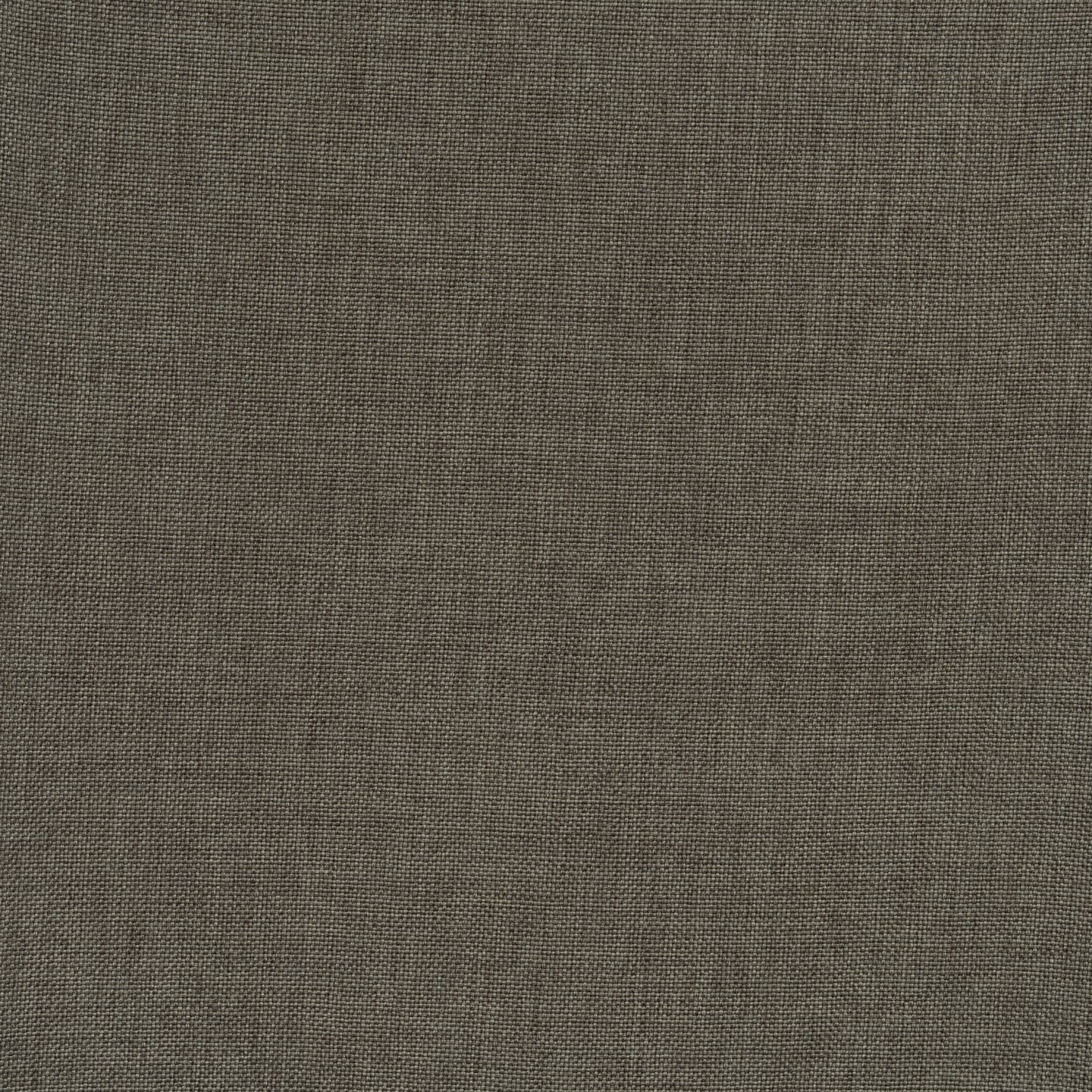 clara ash plain roman blind
