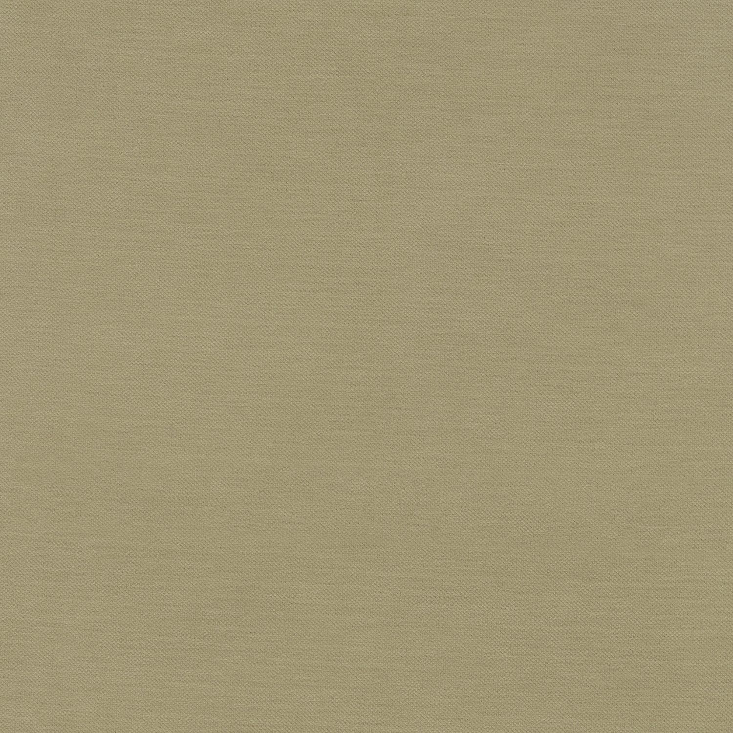 collier moss dim out roman blind