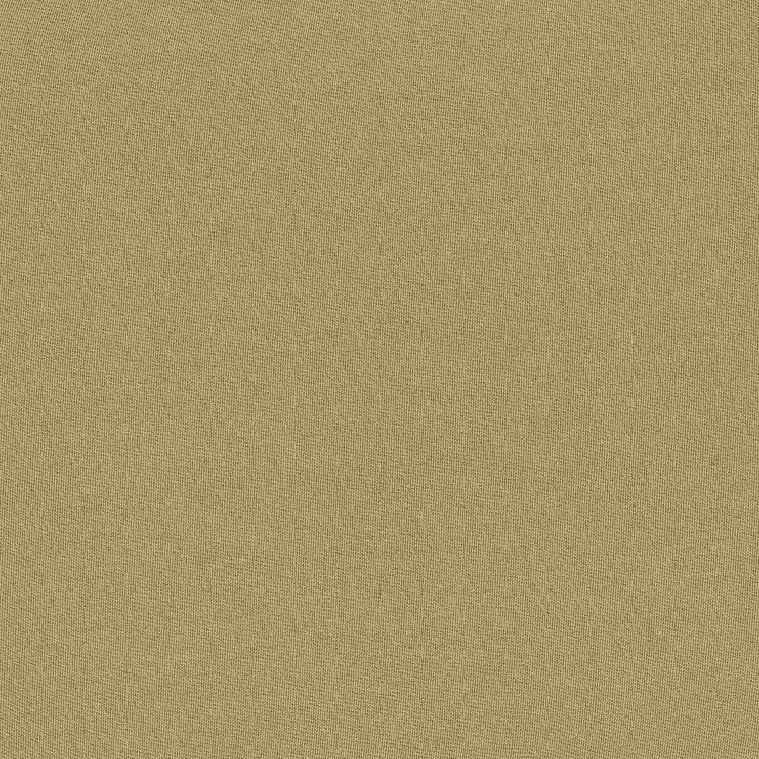 frida apple plain curtain