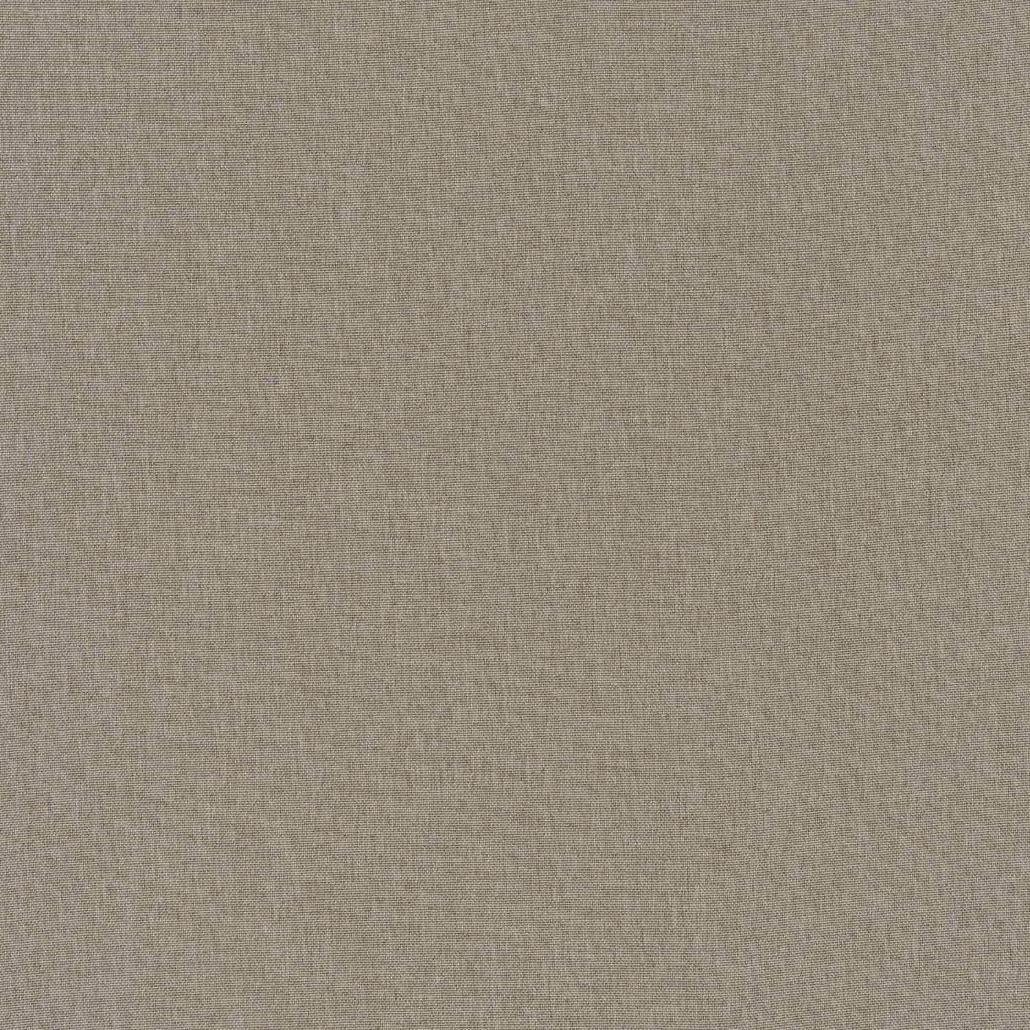 frida otter plain roman blind