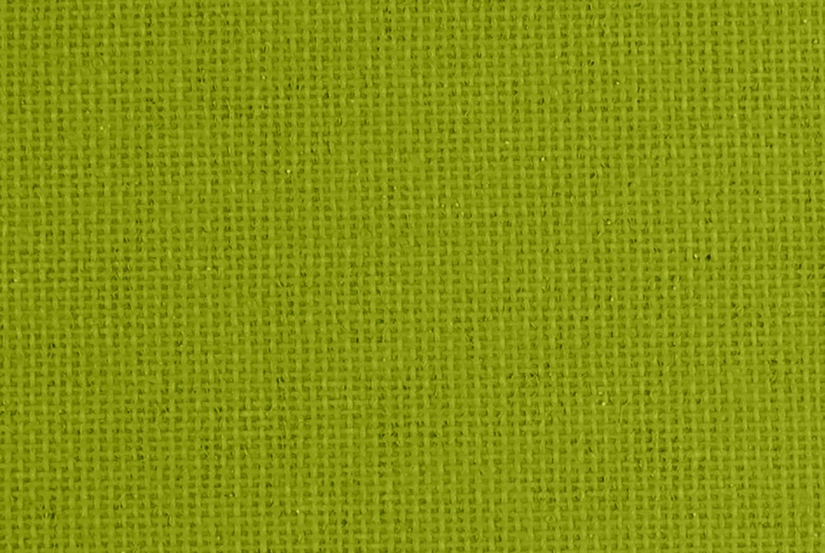 verona moss dimout roller blind