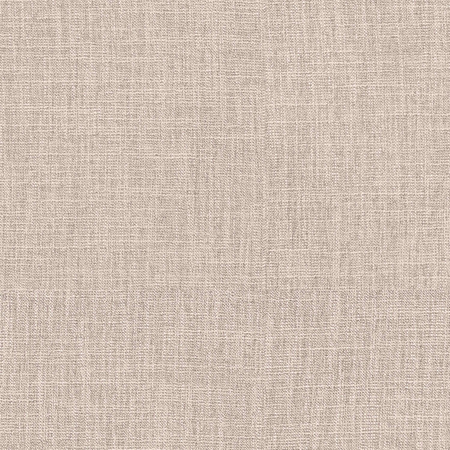 anua shell plain roman blind