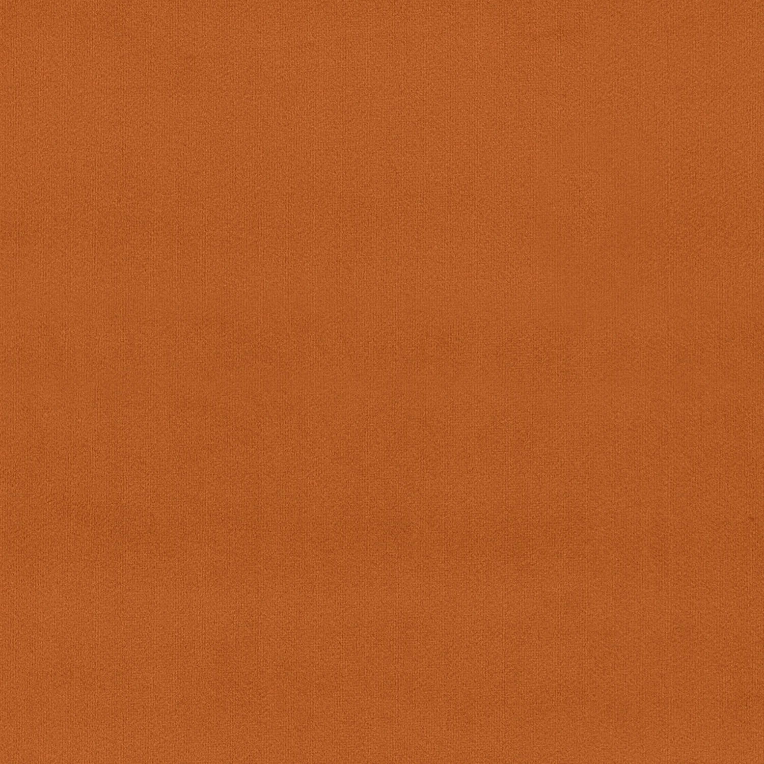 cassandra nectarine velvet roman blind