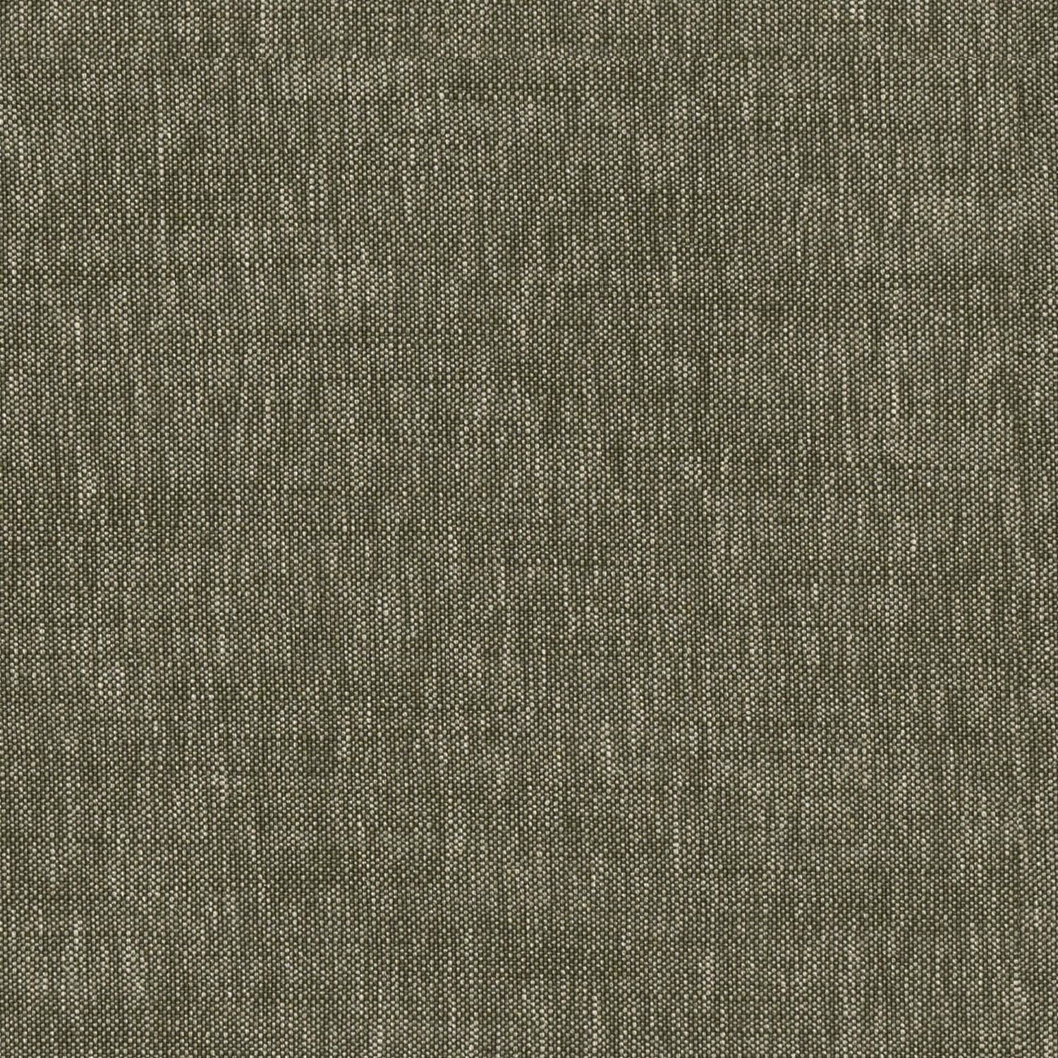 emmy moss plain curtain