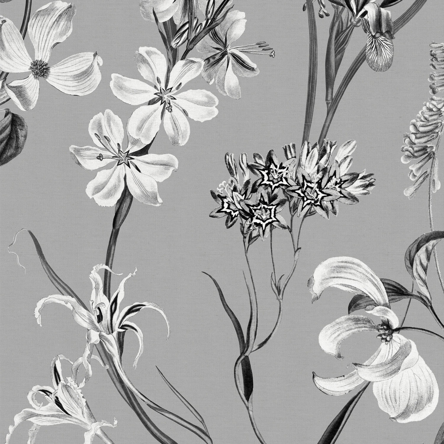iris charcoal printed curtain