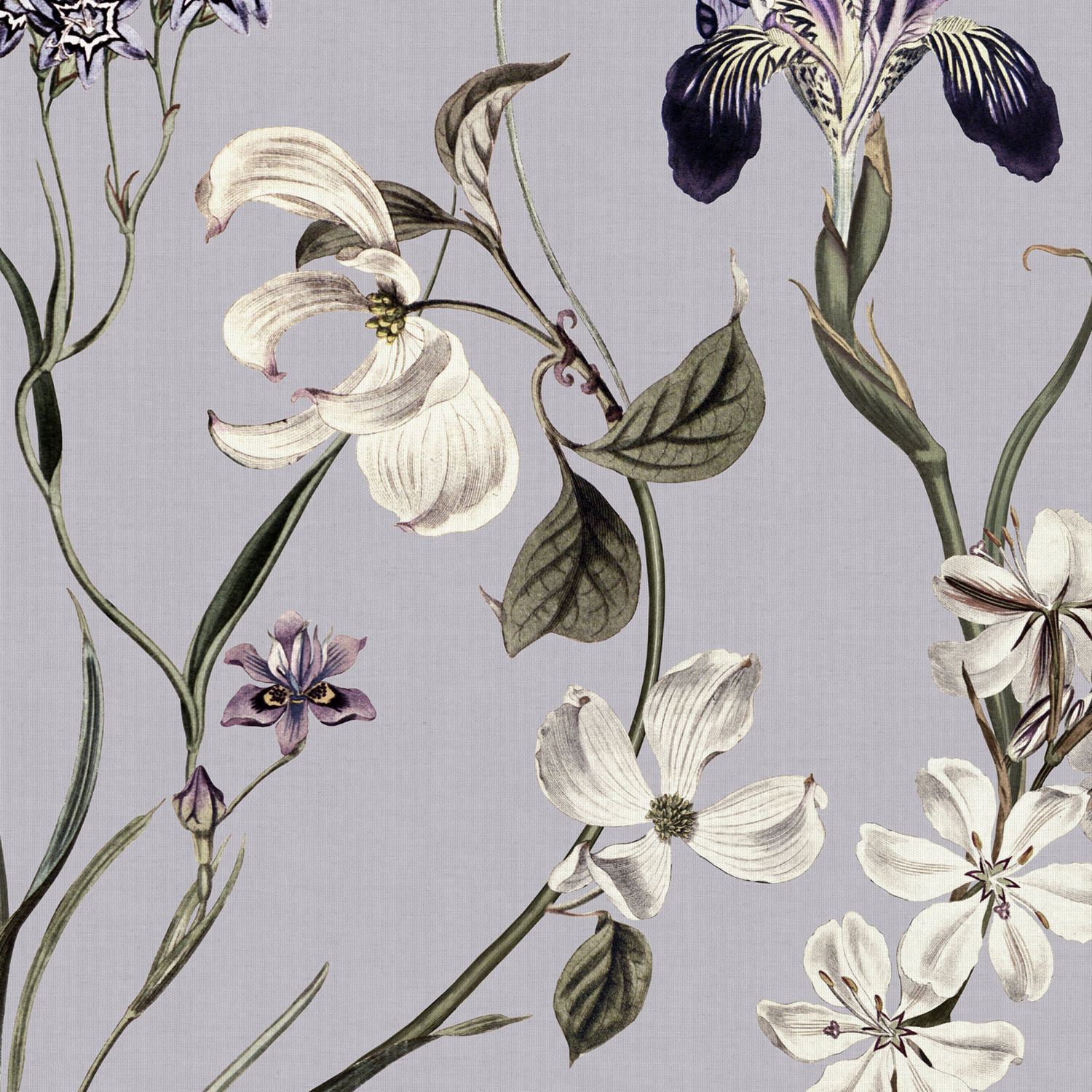 iris lavender printed roman blind
