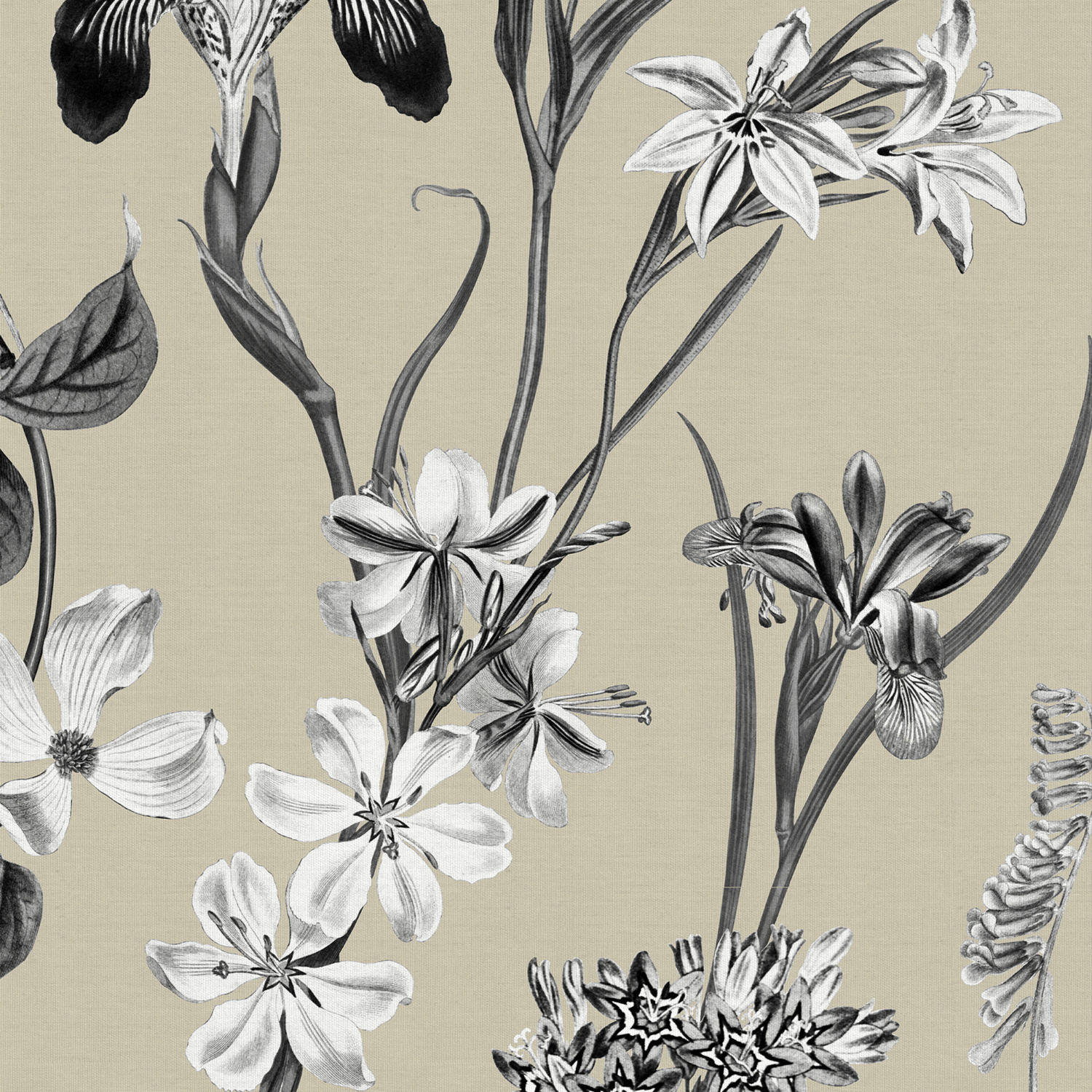 iris sable printed curtain