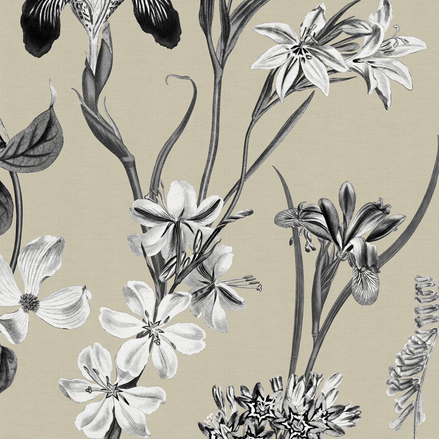 iris sable printed roman blind