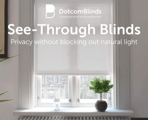 The Mysterious Case of the See-Through Blind