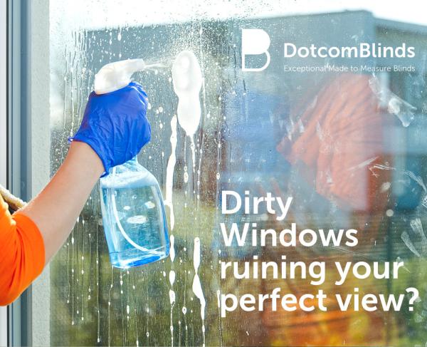 Dirty Windows Ruining Your Perfect View?